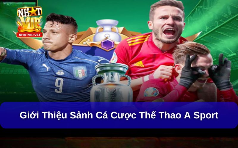 A Sport là sảnh thể thao uy tín và hấp dẫn
